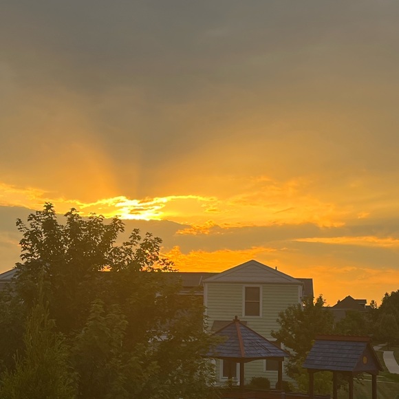 🌺 🌸🧡 Aloha 🤙🏻 - Picture 4 of 15